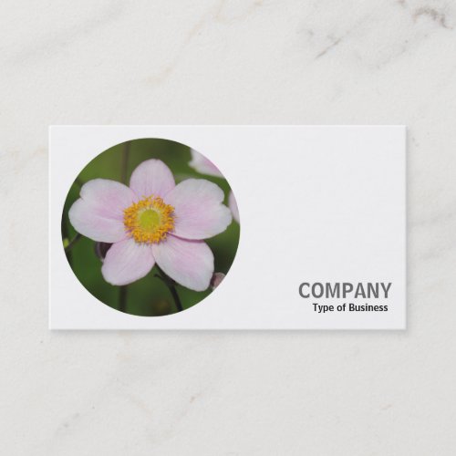 Round Photo _ Anemone Business Card