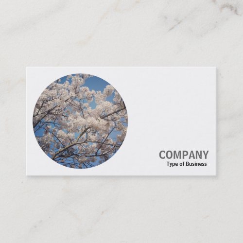 Round Photo _ Cherry Blossom Business Card