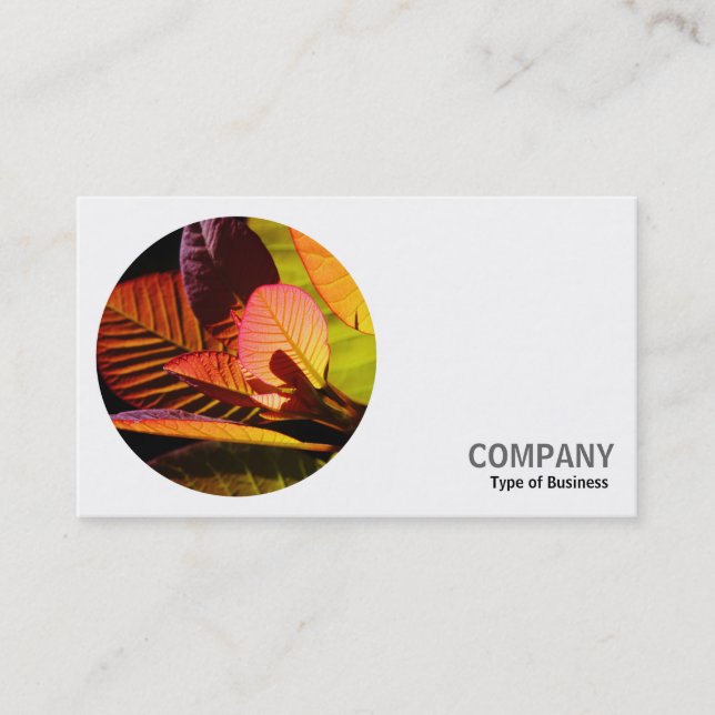 Round Photo - Colorful Leaves Business Card (Front)