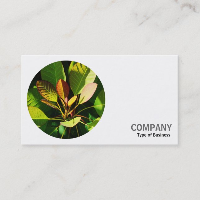 Round Photo - Colorful Sunlit Leaves Business Card (Front)