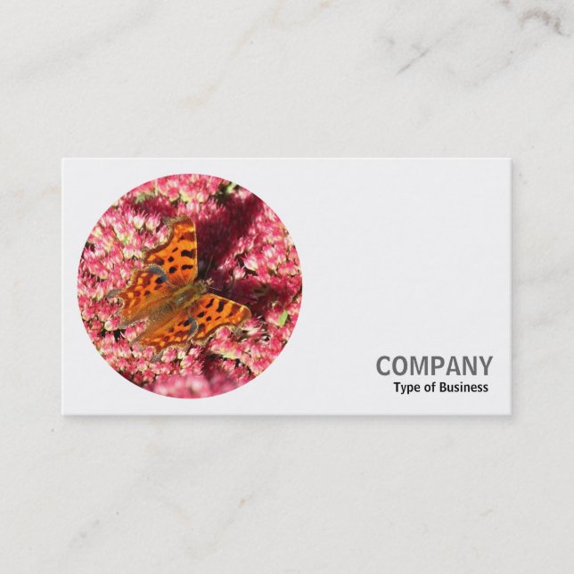 Round Photo - Comma Butterfly on Sedum Business Card (Front)