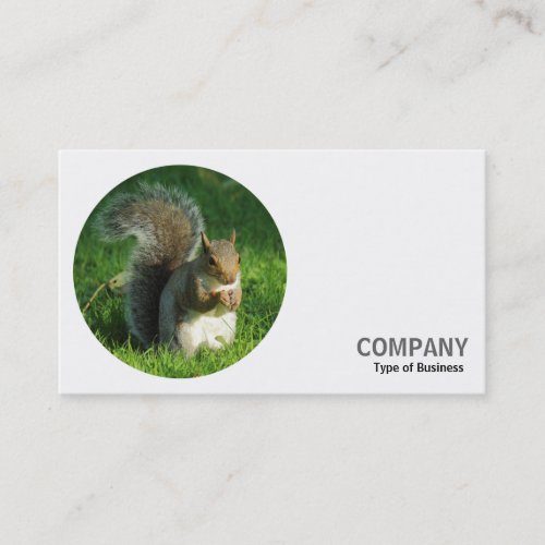 Round Photo _ Grey Squirrel 02 Business Card