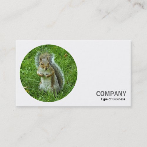 Round Photo _ Grey Squirrel Business Card