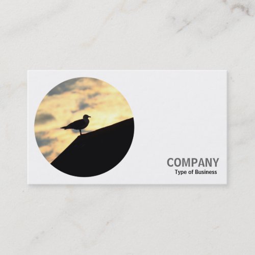 Round Photo _ Gull on a Roof Business Card