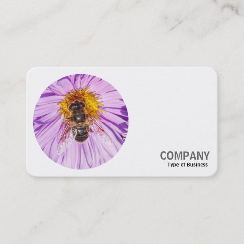 Round Photo _ Honey Bee on a Michaelmas Daisy Business Card
