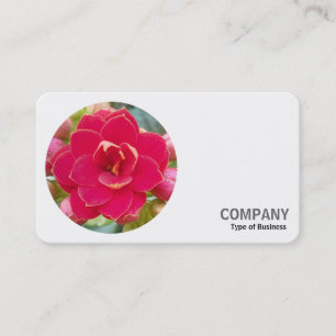 Round Photo - Kalanchoe Business Card