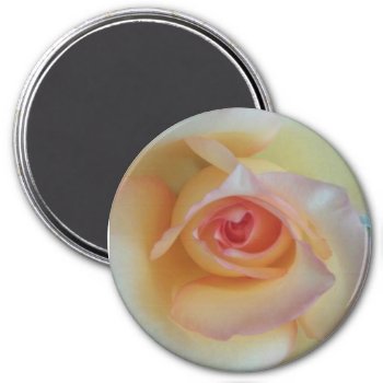 Round Photo Magnet by CatherineDuran at Zazzle
