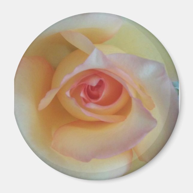 round photo magnet (Front)