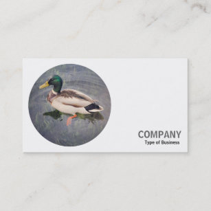 Round Photo - Mallard Duck Business Card