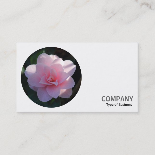 Round Photo - Pink Camellia Business Card (Front)