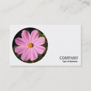 Round Photo - Pink Cosmos Business Card