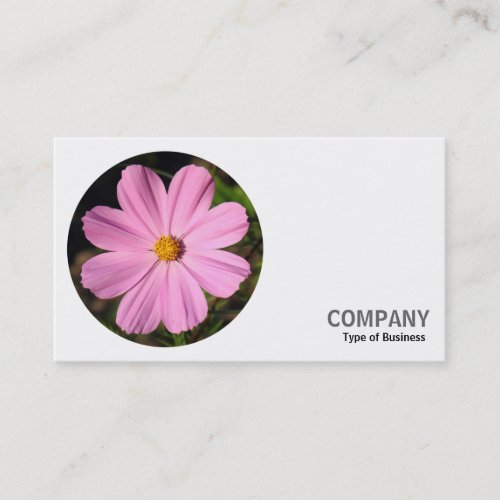 Round Photo _ Pink Cosmos Business Card
