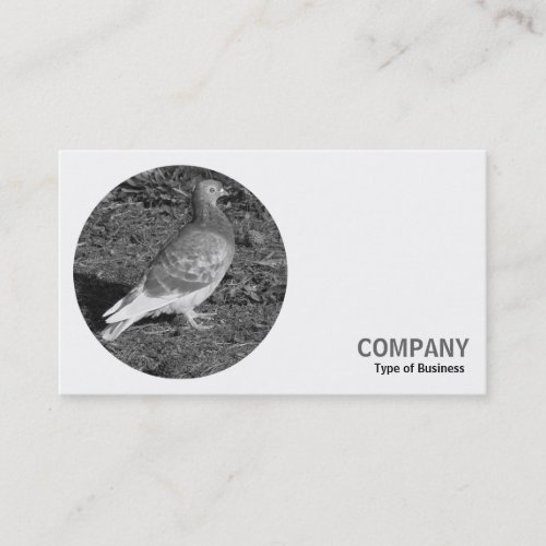 Round Photo _ Red Pigeon BW Business Card