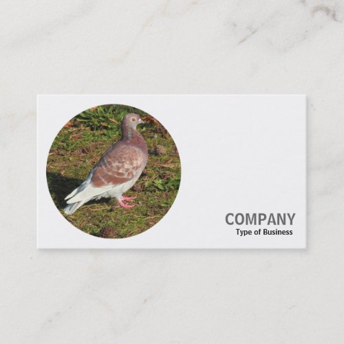 Round Photo _ Red Pigeon Business Card