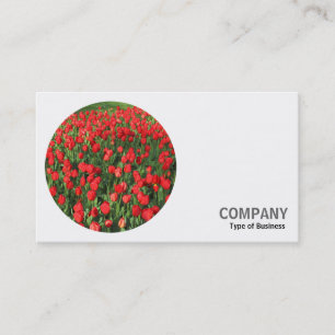 Round Photo - Red Tulips 01 Business Card