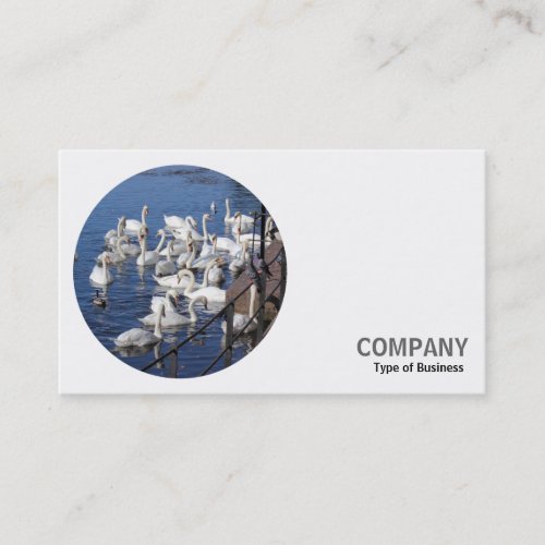 Round Photo _ Swans Business Card