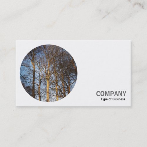 Round Photo _ Trees in Early Spring Business Card