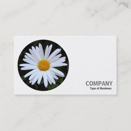 Round Photo _ White Daisy 04 Business Card