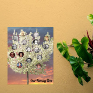 Round Photos with White Blossom Tree and Sunset Poster