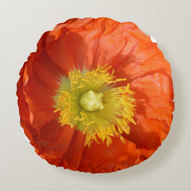 Round Pillow (Front)