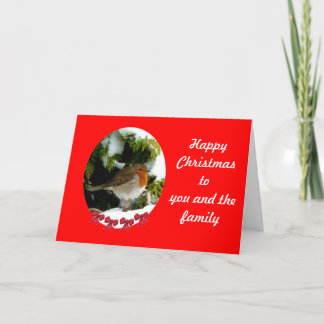 Round Robin Christmas card - customize