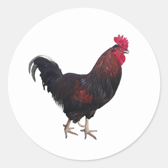 Round Rooster Stickers (Front)