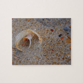 Round Seashell Puzzle