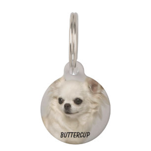 Round Small Pet Tag Chihuahua With Photo