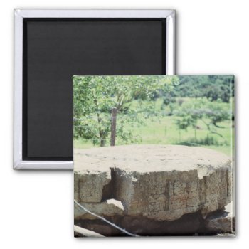 Round Stone Carved Block Mayan Ruins Copan Photo Magnet by ScrdBlueCollectibles at Zazzle