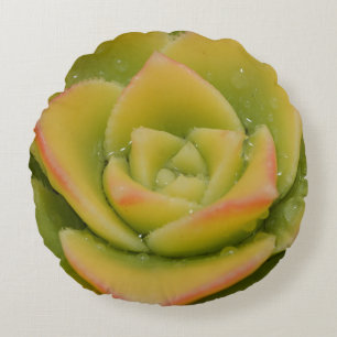 Round Succulent Emerald Botanical Photo Art Print Pillow