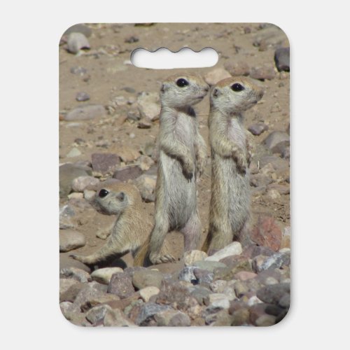 Round_tailed Ground Squirrel Family Seat Cushion