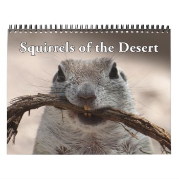 Round Tailed Ground Squirrels Calendar by poozybear at Zazzle