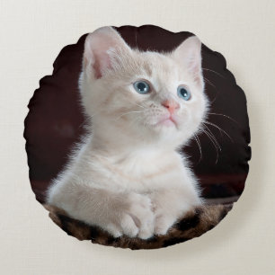 Round Throw Pillow (16")