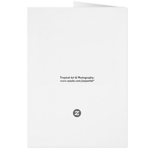 Round Top Drive (Back)