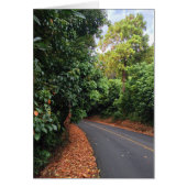 Round Top Drive (Front)