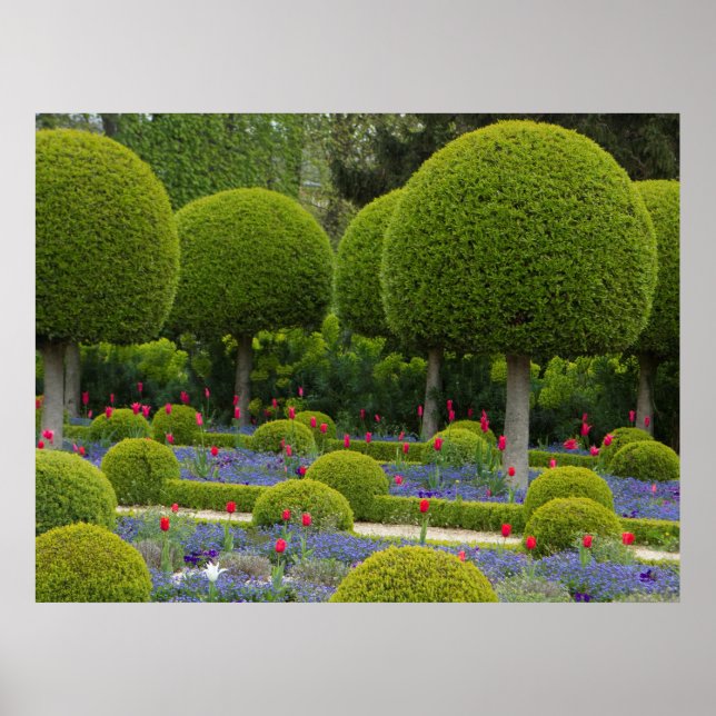 Round Trees Poster (Front)