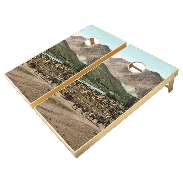 Round Up (Colorado, 1898) Cornhole Set (Angled)