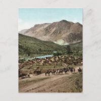 Round Up (Colorado, 1898)