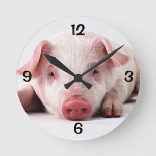 Round Wall Clock/Pig Round Clock