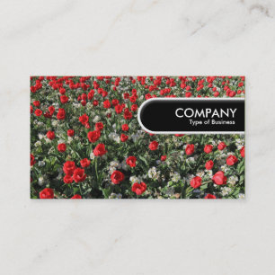 Rounded Edge Tag - Red Tulips and Primroses