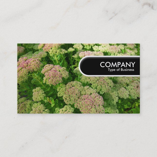 Rounded Edge Tag - Sedum "Autumn Joy" (Front)
