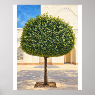 Rounded Topiary Tree 16x20 Unframed Art Print