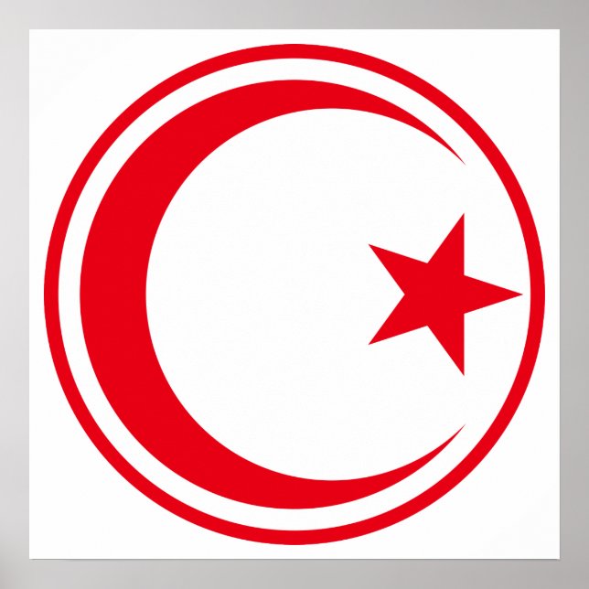 Roundel of Tunisian Air Force Poster (Front)