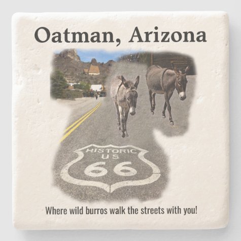 Route 66 Oatman Arizona Burros On The Street
