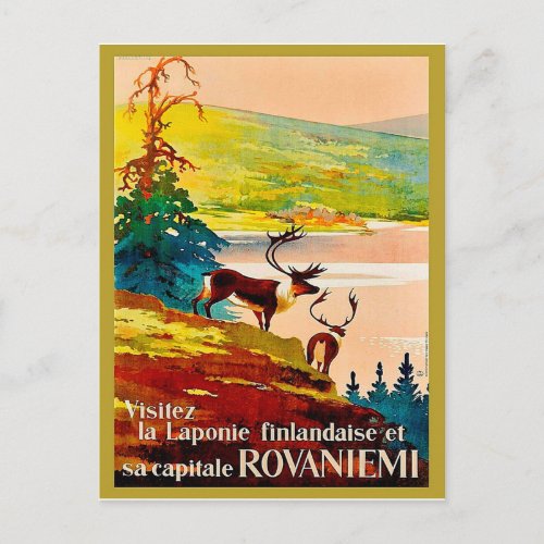 Rovaniemi Finland reindeers on the coast Postcard