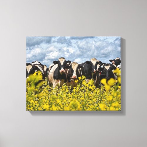 Row of Cows Canvas
