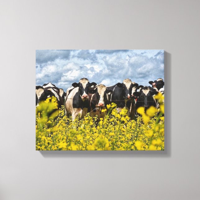 Row of Cows Canvas Print (Front)