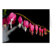 Row Of Hearts (Front Horizontal)