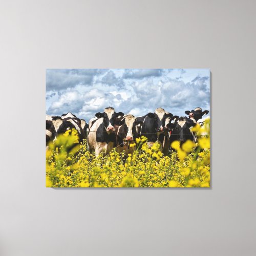 Row of Holstein Cows Canvas Print