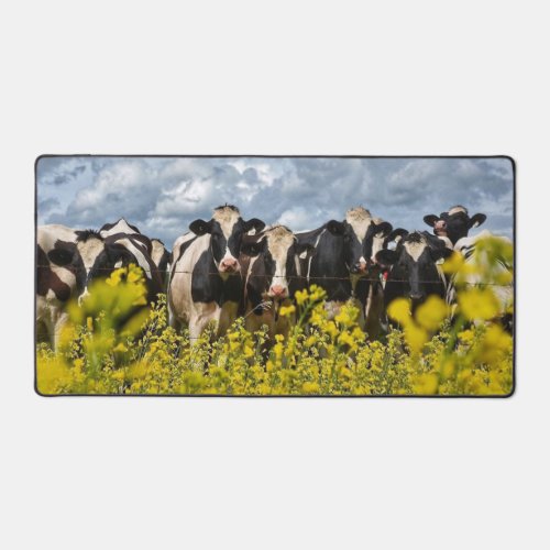 Row of Holstein Cows Desk Mat
